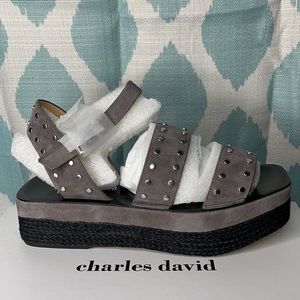 Platform sandals made by Charles David